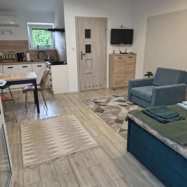 Apartament TAM GDZIE ZAWSZE，位于瓦乌奇的酒店