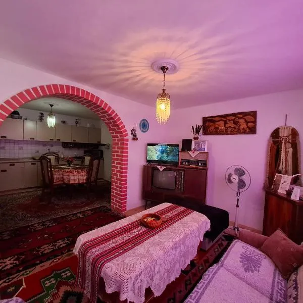 Retro Retreat Izačić，位于比哈奇的酒店