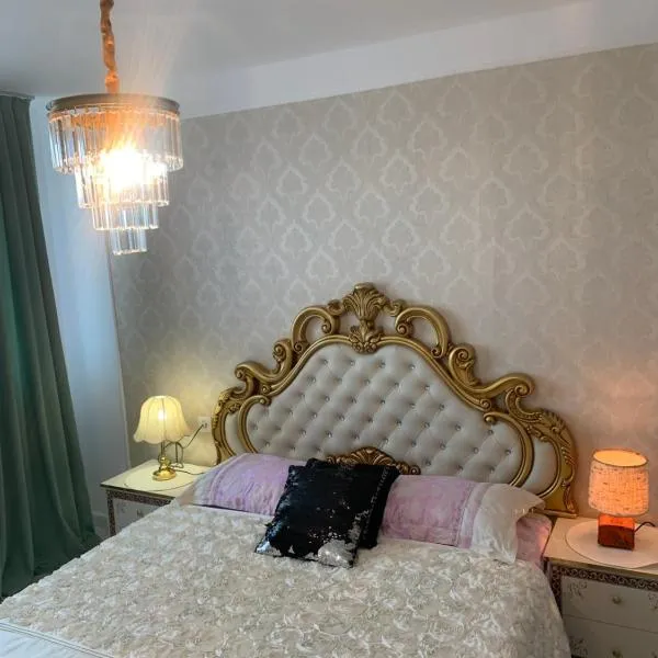 Slatina Cornisiei apartament central 2 camere și living，位于斯拉蒂纳的酒店