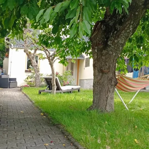 Ferienwohnung Waldblick in Frauenstein，位于弗劳恩施泰因山的酒店