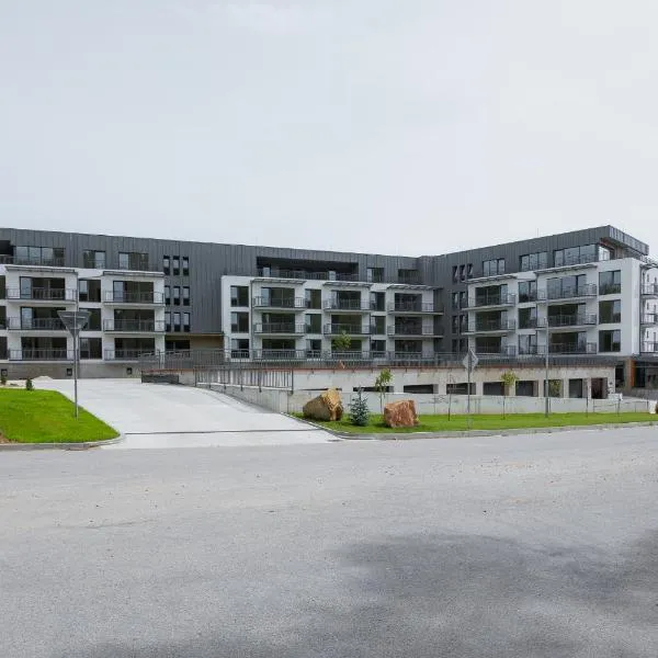 Brezovina Breza B115，位于Oravské Veselé的酒店