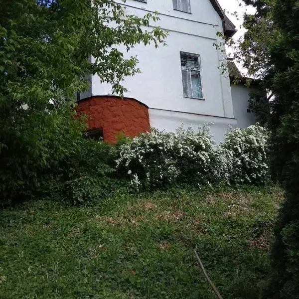 Parti Villa Apartman，位于鲍洛通维拉戈什的酒店
