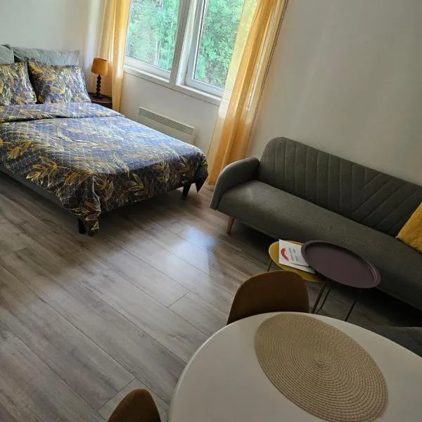 Studio 2，位于达伦的酒店