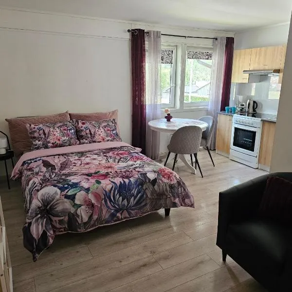 Studio 5，位于达伦的酒店