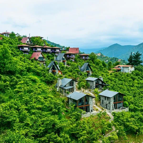 Gafulluk Tatil Köyü，位于Araklı的酒店