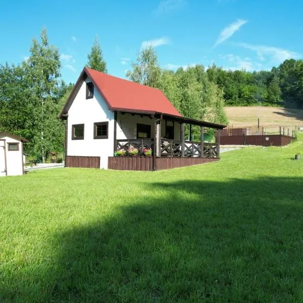 Wiśniowe Zacisze - Agroturystyka，位于Sułkowice的酒店
