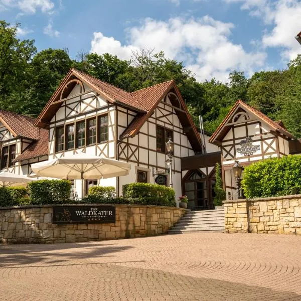 Hotel Der Waldkater，位于林特尔恩的酒店