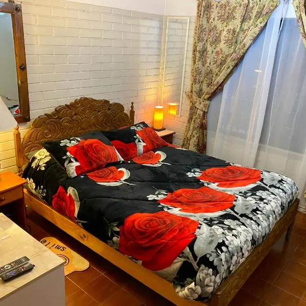 Habitacion Viña ConchayToro，位于圣地亚哥的酒店
