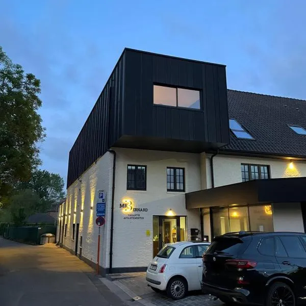 Mr.Bernard Vakantie Appartementen，位于德帕内的酒店