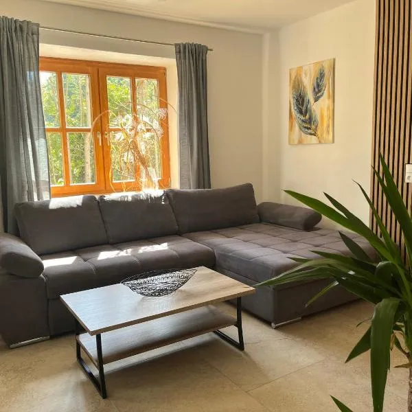 Ferienwohnung Lilly, 60qm, 4 Personen，位于Tann的酒店