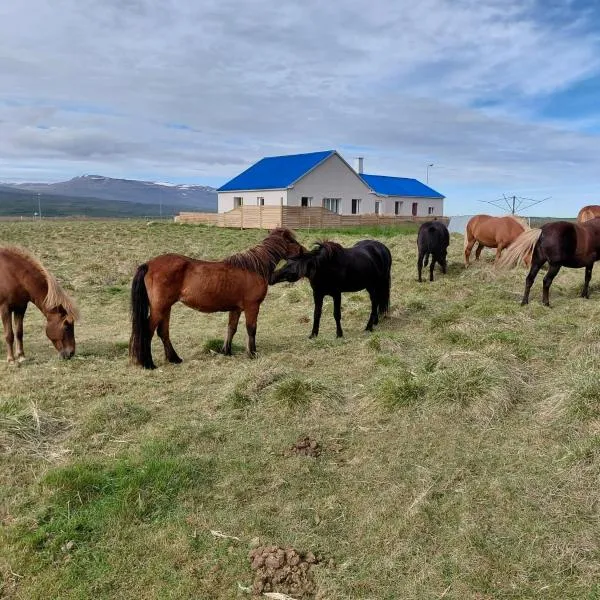 Árbakki-Guesthouse near Egilsstaðir，位于Stóri-Bakki的酒店