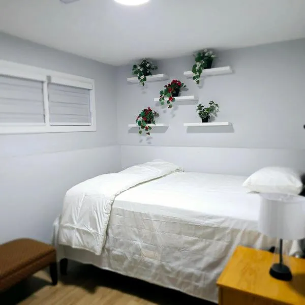 Dream house，位于埃德蒙顿的酒店
