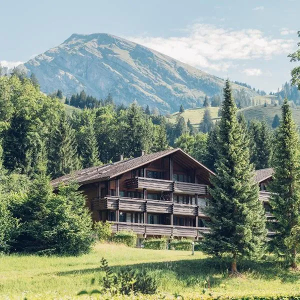 Wirie-Lodge in Diemtigen Ferienwohnung am Wiriehorn，位于Diemtigen的酒店