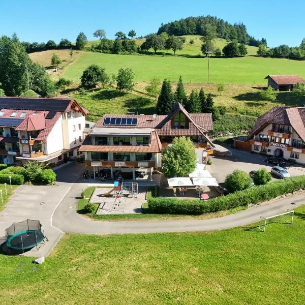 佩尔兹老磨坊乡村旅馆，位于巴登-符腾堡的酒店