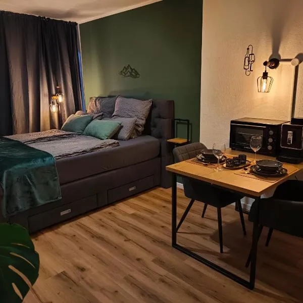 MeLou Fewo Harzruhe Wellness，位于巴特劳特贝格的酒店