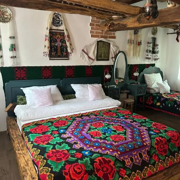 Pensiunea Casa Cezara，位于Silvaşu de Jos的酒店