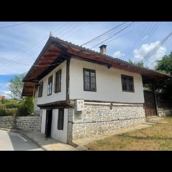 Guest house Elenite，位于埃伦娜的酒店
