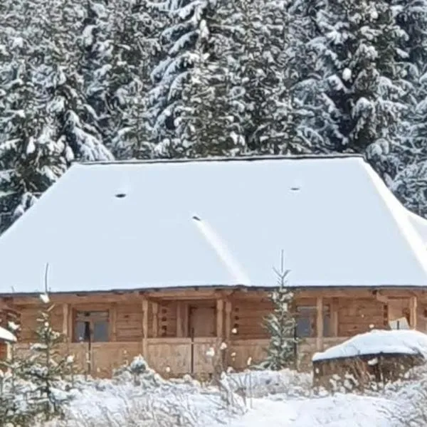 Poiana cu Sinziene，位于Neagra Şarului的酒店