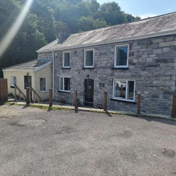 The Old Tredegar，位于Gwys Station的酒店