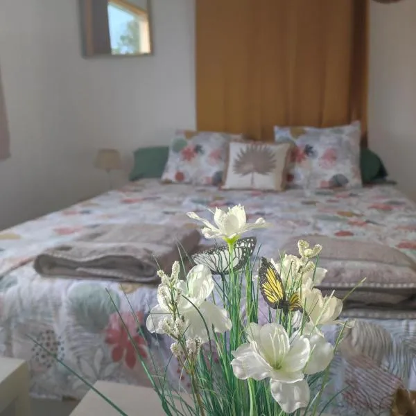 L'Ambréenne，位于西德雷顿的酒店