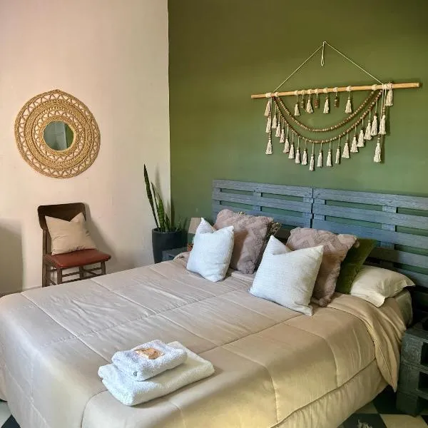 Downtown Room，位于亚松森的酒店