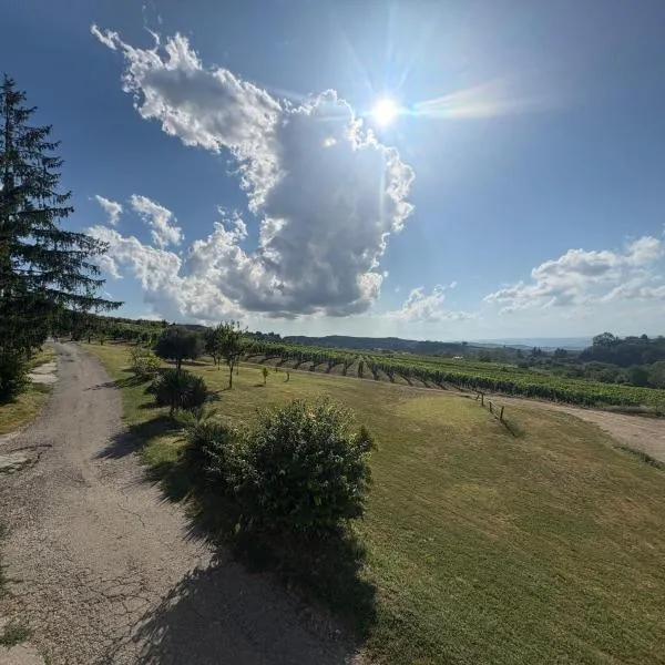 Langhe da cartolina，位于Mango的酒店
