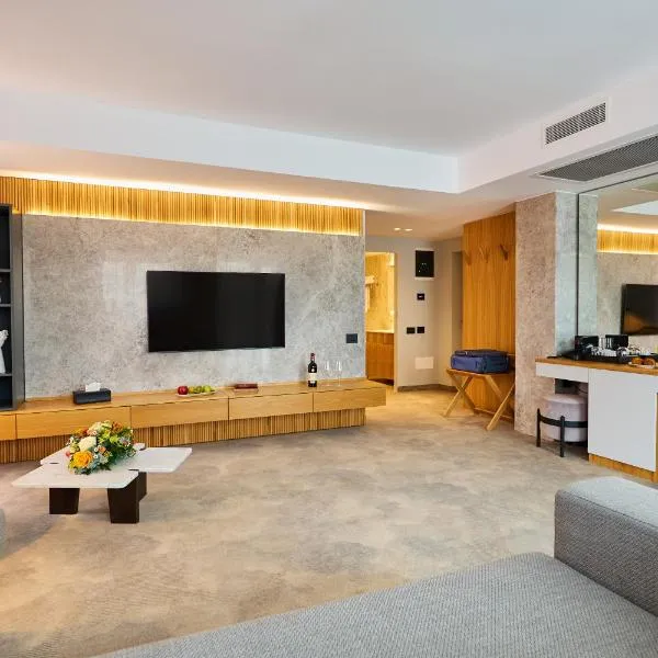 ONE Hotel，位于阿尔巴尤利亚的酒店