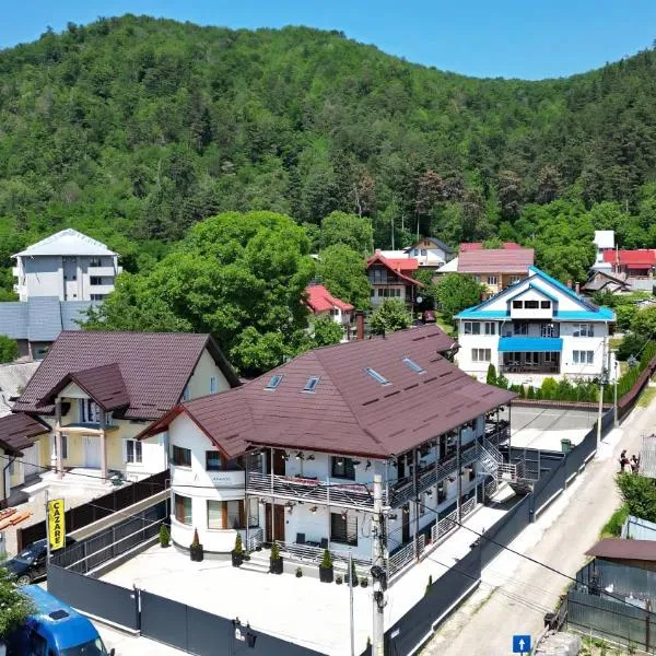 VAIAS Apartamente cu Terasa si Vedere Munte，位于特尔古尼亚姆茨的酒店