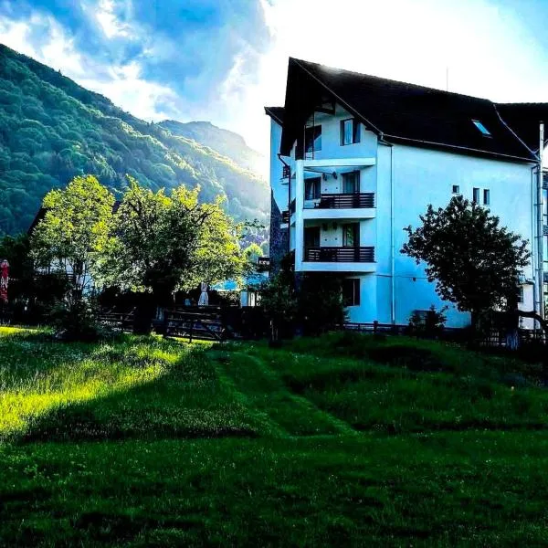 Vila Alisa，位于布朗的酒店