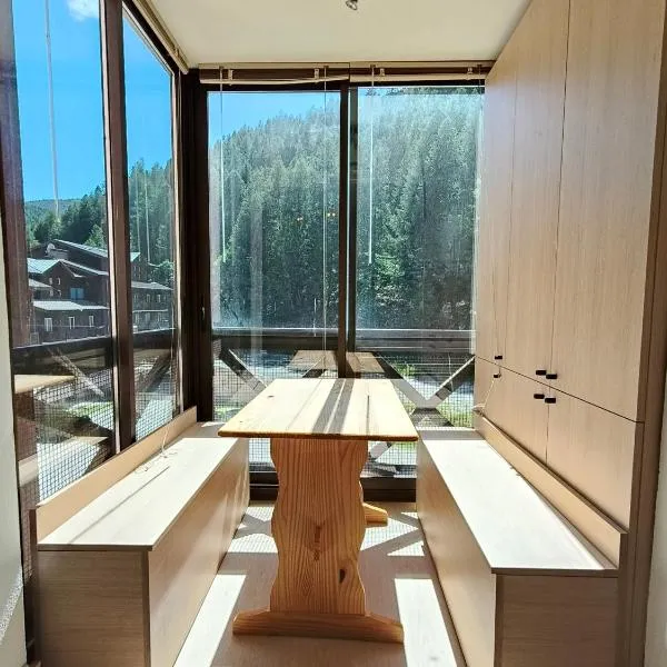 Appartement a la Foux d'Allos，位于阿洛斯的酒店