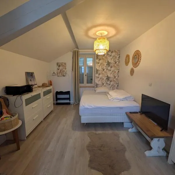 Logement hyper centre et près de la plage 1er étage，位于比亚里茨的酒店