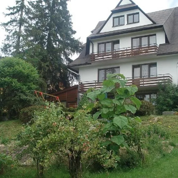 Na Wysokim，位于布科维纳-塔钱斯卡的酒店