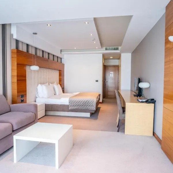 加尔尼中心酒店，位于诺维萨德的酒店