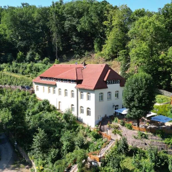 Hotel Burgblick Meißen，位于梅森的酒店