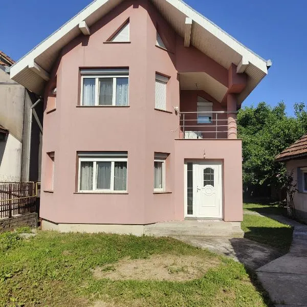 Vila Ciciou，位于内格雷什蒂瓦什的酒店