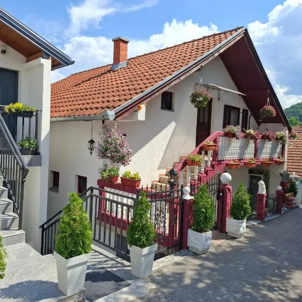 Guesthouse Jelena，位于维舍格勒的酒店