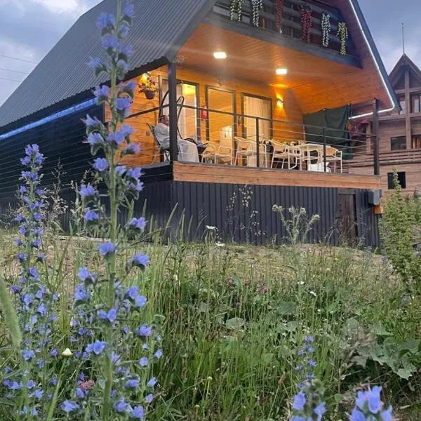 Apko Hut Gudauri，位于古多里的酒店