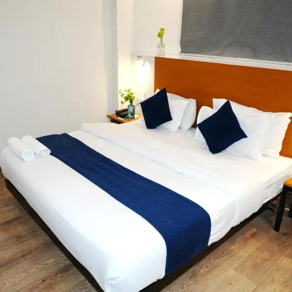 Hotel Diamond Tree At CR Park，位于新德里的酒店