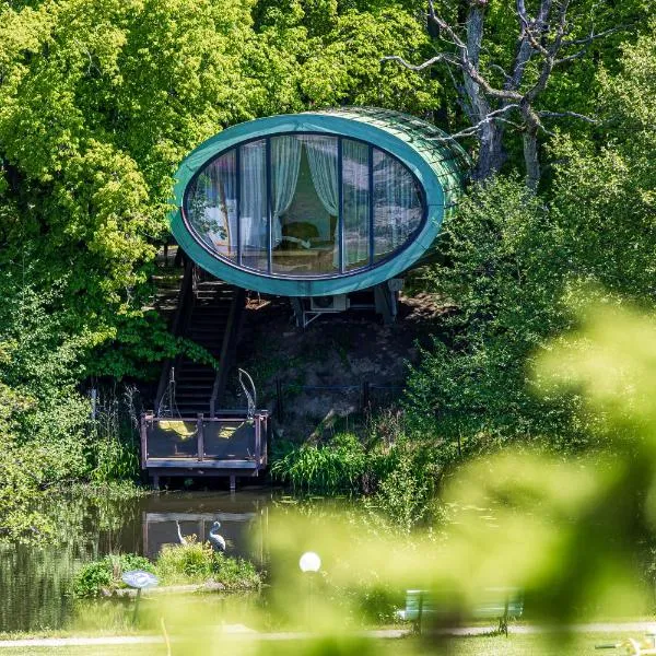 AKIS namelis medyje- Dinosaur Park，位于Radailiai的酒店