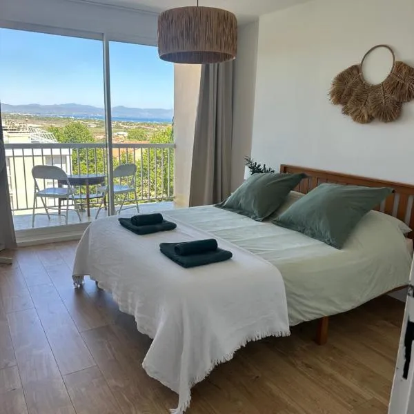 Perle Rare vue Mer et marais salants sur Giens à Hyeres，位于耶尔的酒店