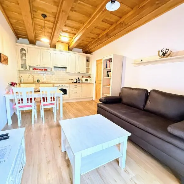 Apartmán Jezerné，位于大卡尔洛维采的酒店