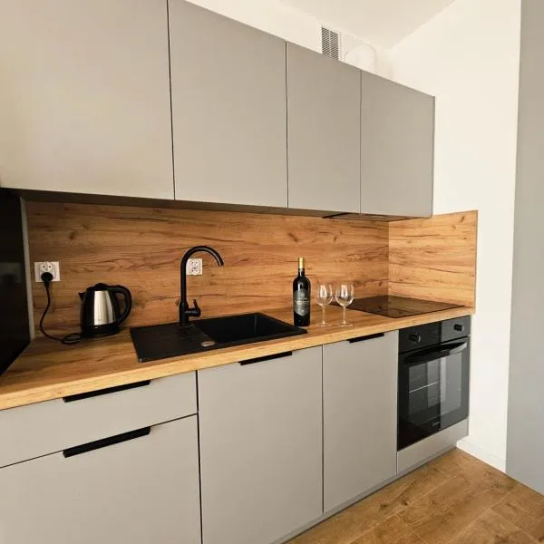 ApartCzłuchów，位于奇武胡夫的酒店