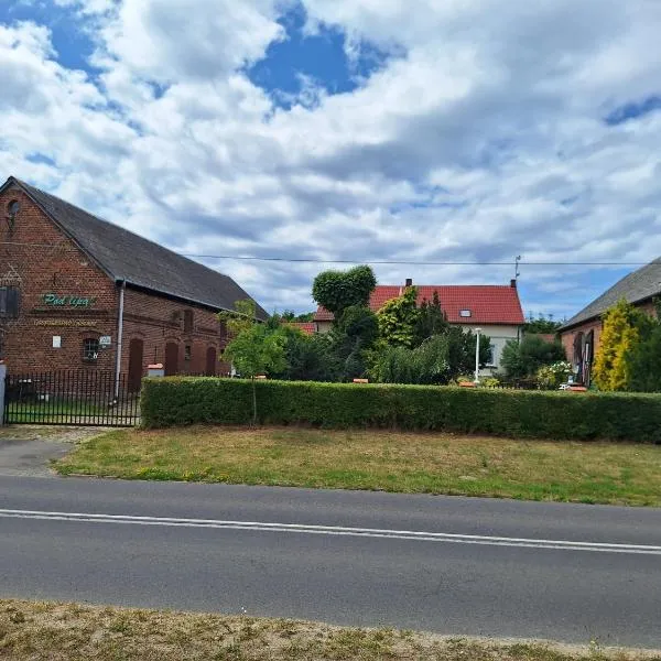 Gospodarstwo Gościnne Pod Lipą，位于Zastań的酒店