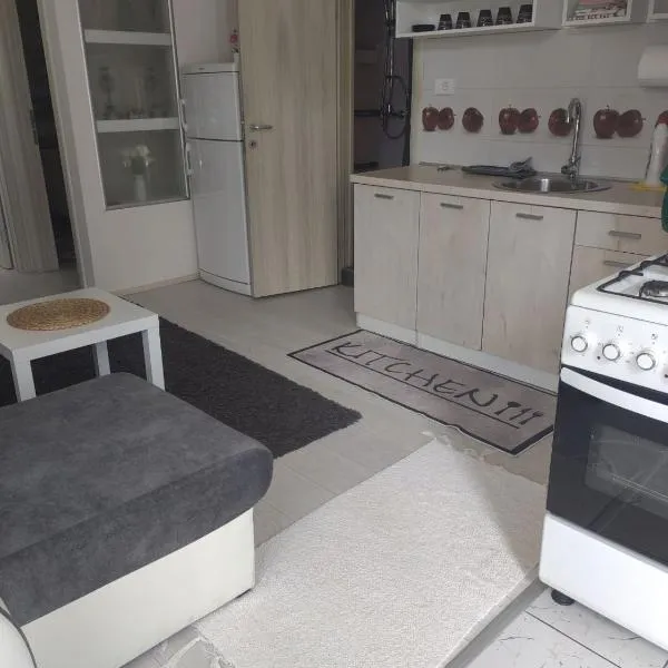 Apartman Apple，位于贝尔格莱德的酒店