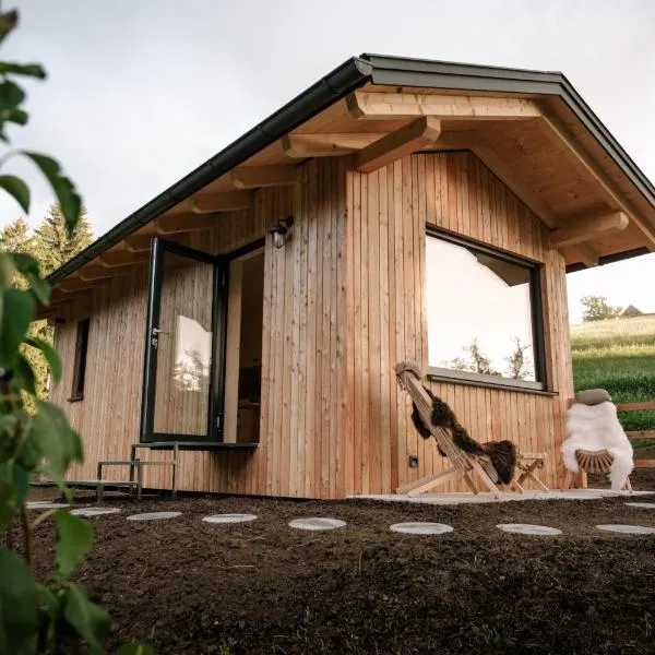 Ferienhaus "Moosgrün" - Tiny House Urlaub，位于Ybbsitz的酒店
