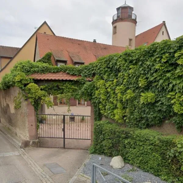 Le belvédère au cœur de Saverne，位于萨维尔纳的酒店