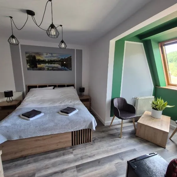 Apartamenty Amadeus，位于斯托尼拉斯奇的酒店