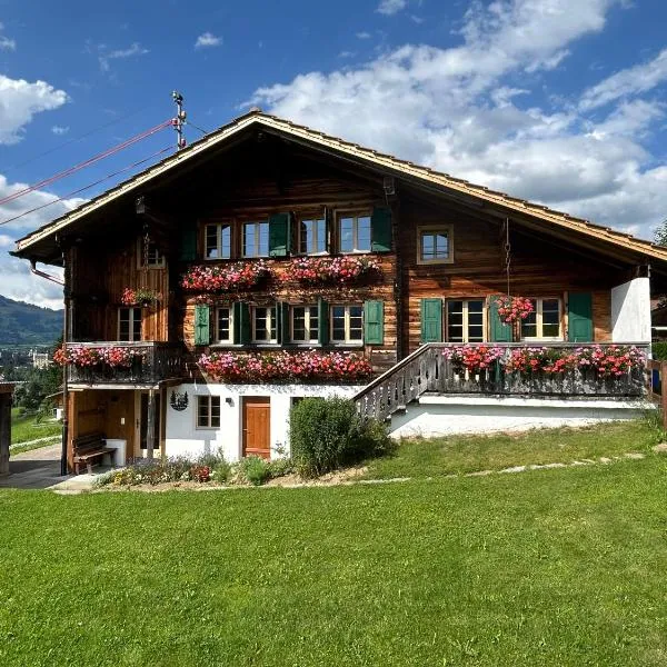 Alpenchalet Haldeli Ferienwohnung，位于格施塔德的酒店