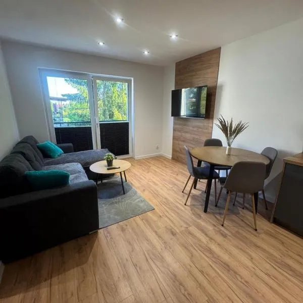 Apartament Oli，位于奥斯特罗达的酒店