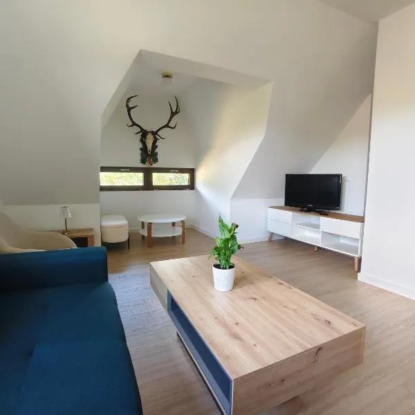 Willa Rogaś II，位于鲁特罗的酒店